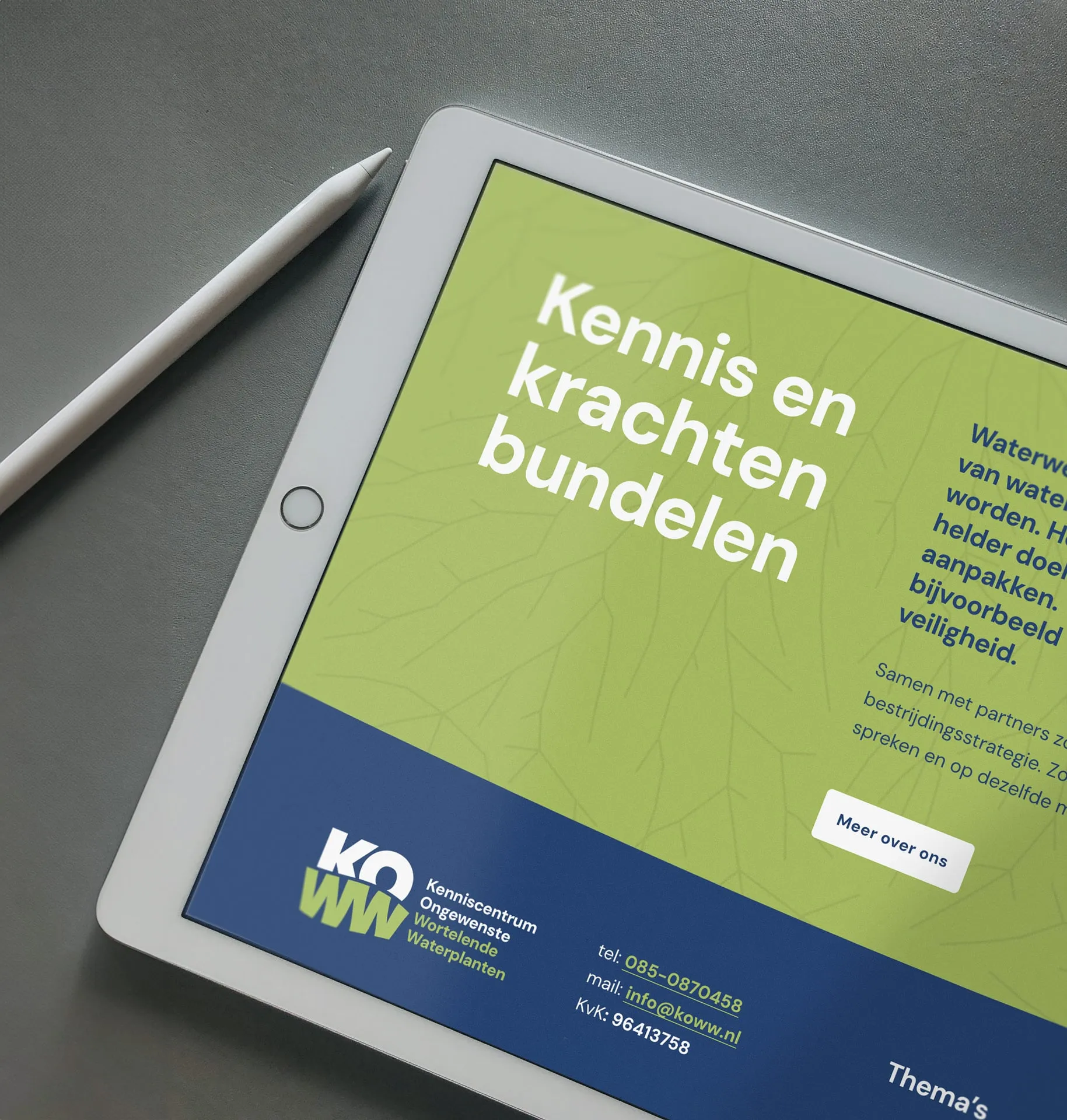 ipad met website