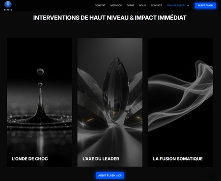 image du site web Bareez illustrant une des réalisations effectuée