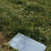 Sustainability Image