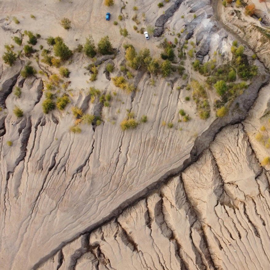 Sustainability Image