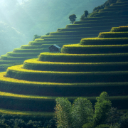 About Hv2 Top Left Image