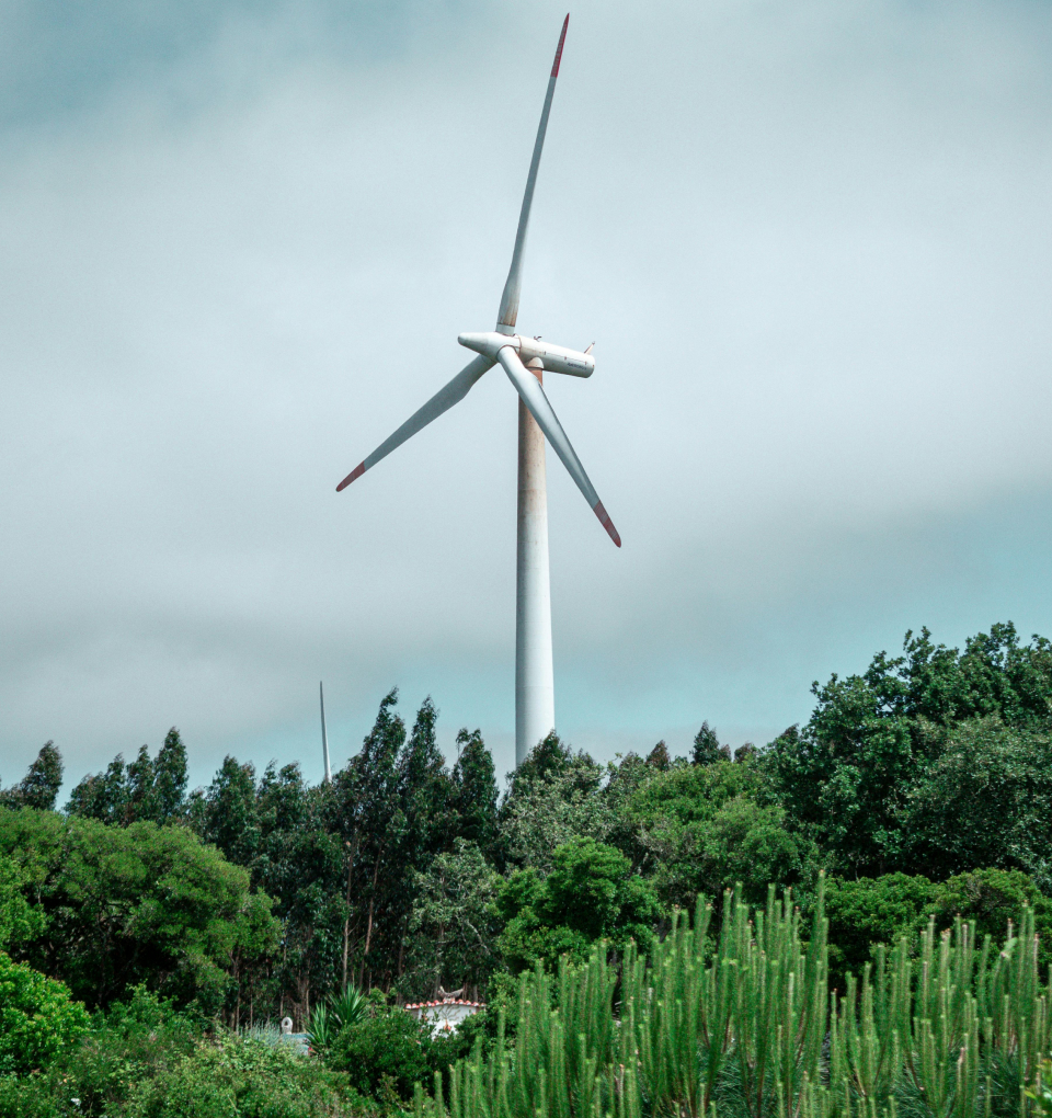 Intelligent Future Image