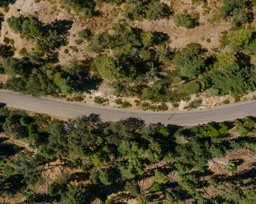 Sustainable Vision Image