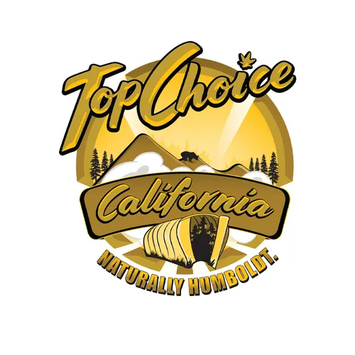Top Choice California logo