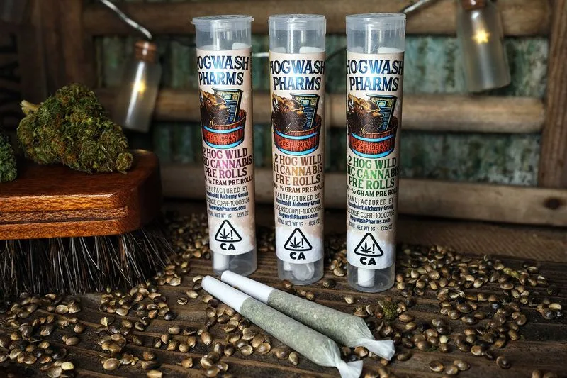 Hogwash pre-rolls set in an interesting scene with cannabis seeds
