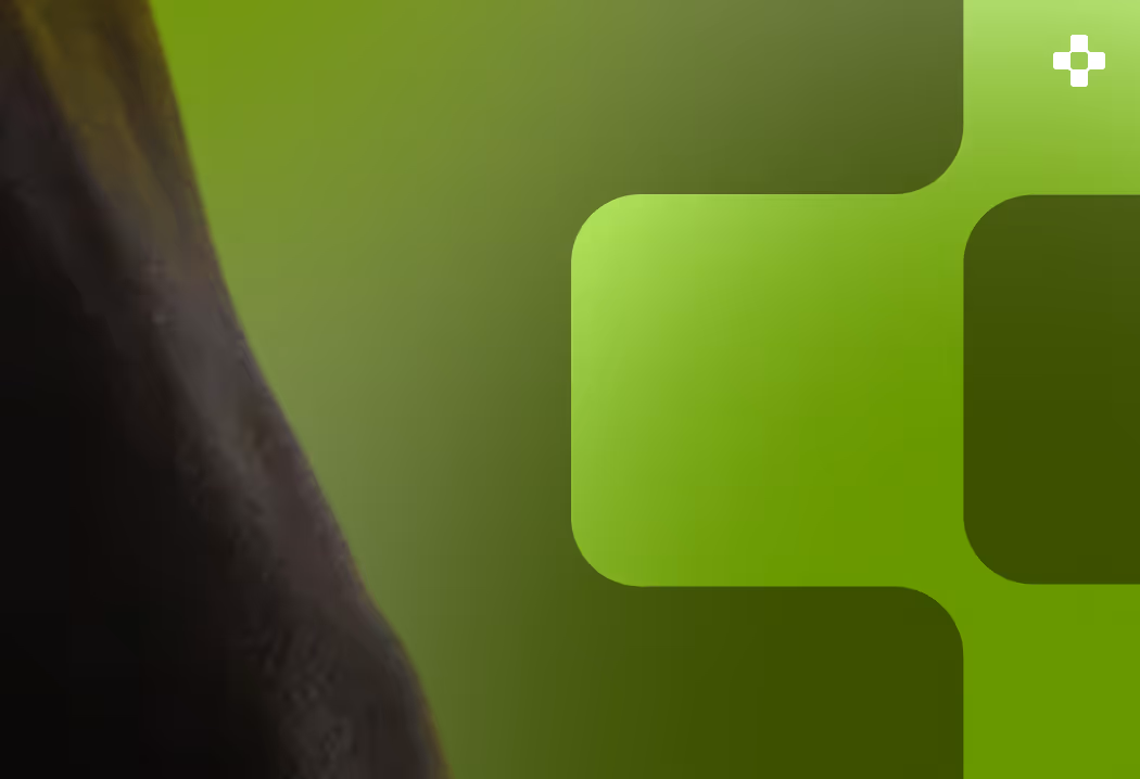 Close-up of a dark green plant stem with a blurred green gradient background and geometric shapes.