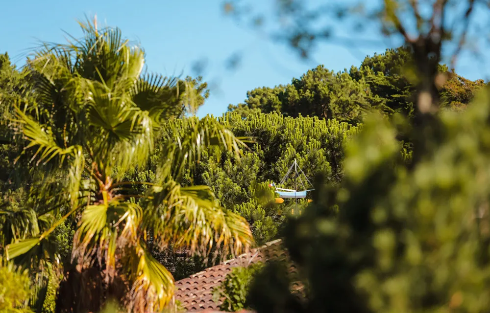 Chambre Deluxe Pinède