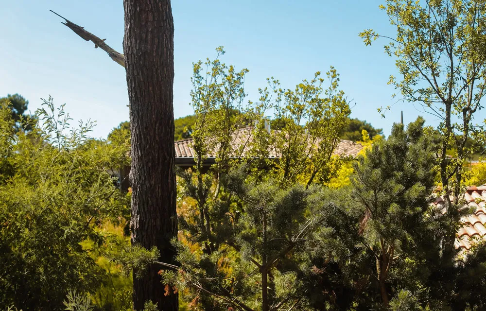 Chambre Deluxe Pinède