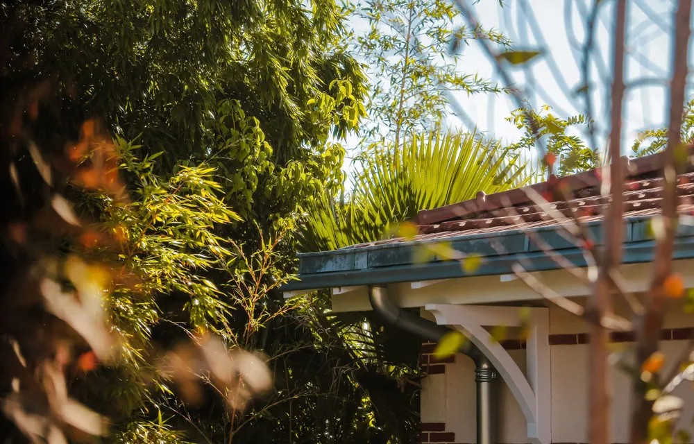 Chambre Deluxe Pinède