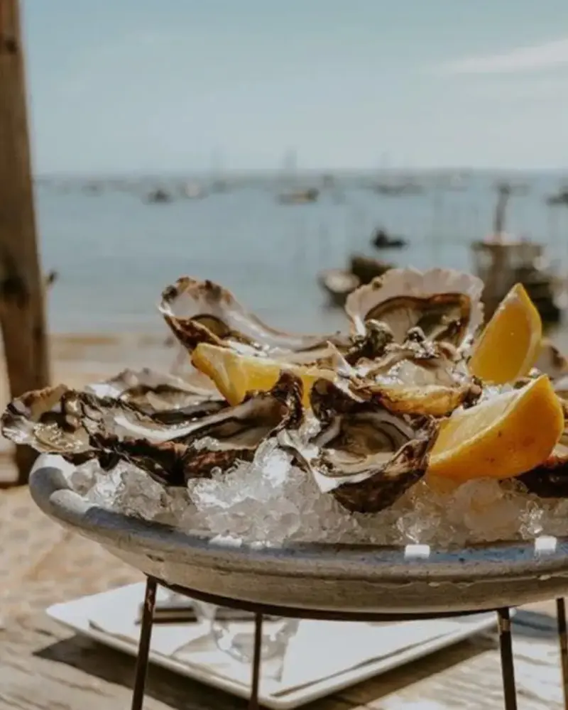 Bandeja de ostras cóncavas de Cap Ferret frente a la bahía de Arcachon.