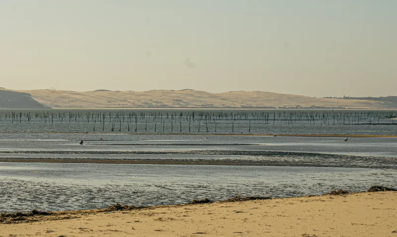 Les plus belles plages du Cap Ferret