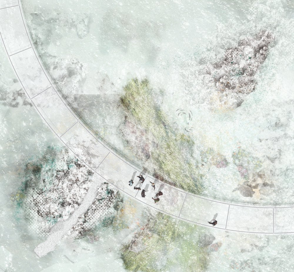 Aerial view of people walking on a curved boardwalk over a shallow body of water with visible coral and seaweed.