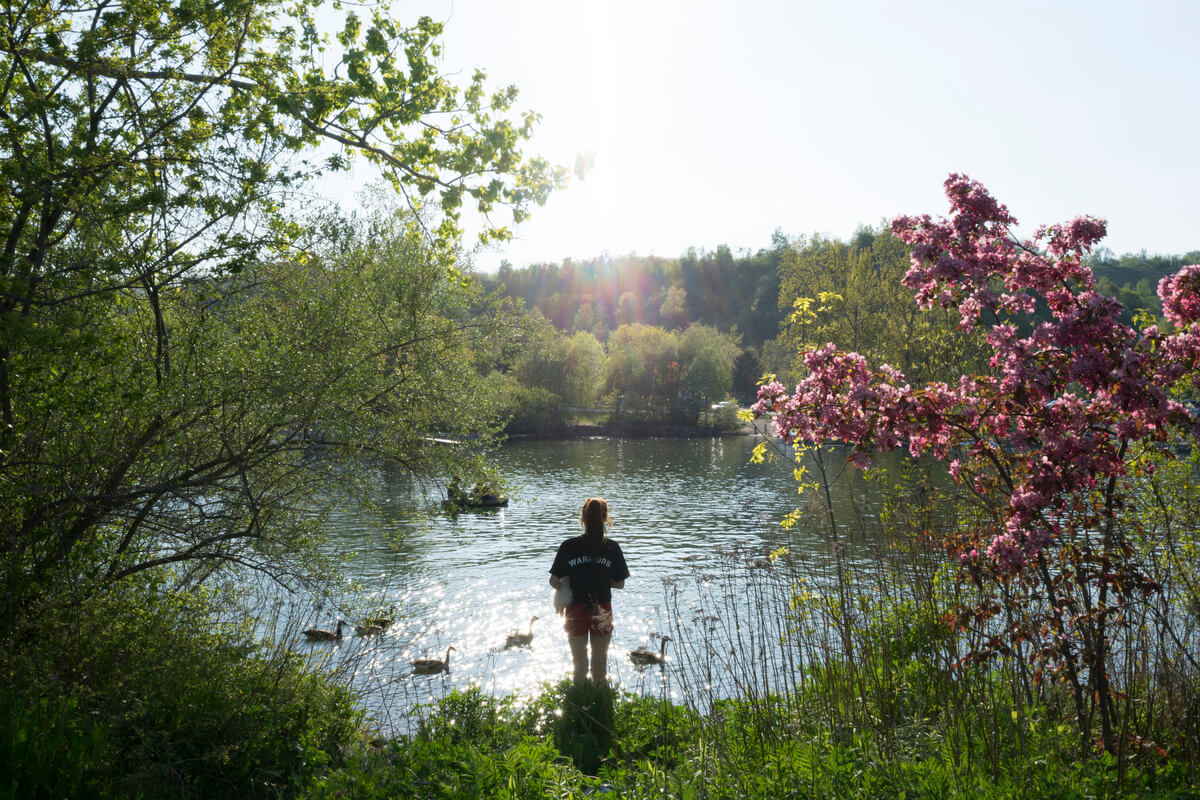 Person står ved vannkanten i grønt parklandskap med blomstrende trær og ender i vannet, omgitt av vår- eller sommersol