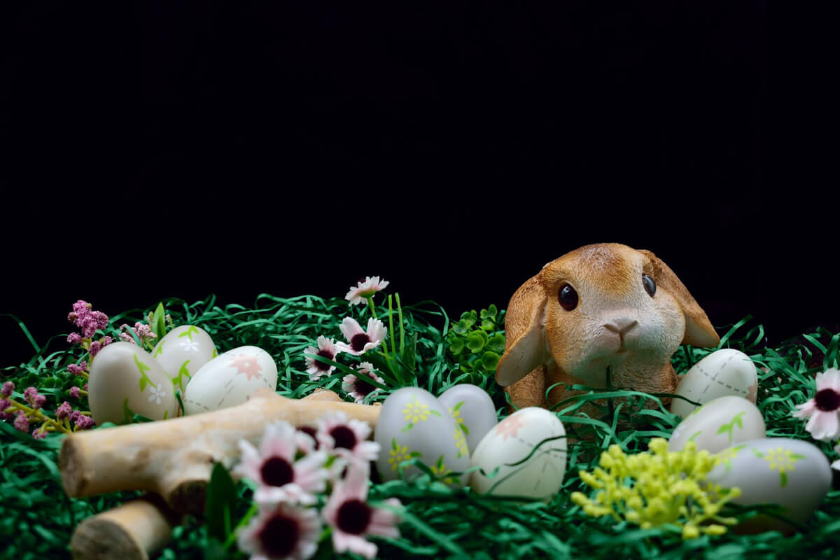 Brun kanin som ligger i gresset med mange malte påskeegg ved siden av seg mot en svart bakgrunn som illustrasjonsbilde for påskeaktiviteter på Norsk Folkemuseum 