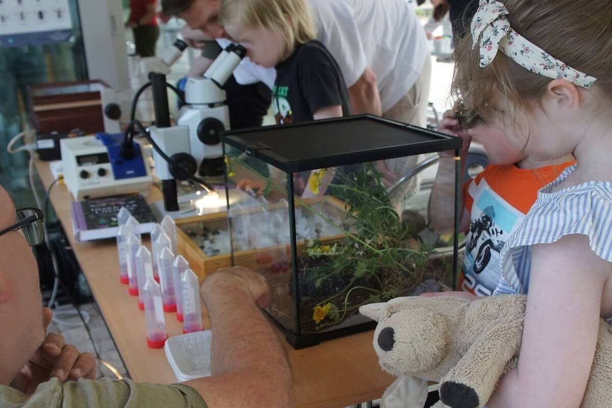 Barn ser på insekter i et terrarium og bruker mikroskop ved en vitenskapsstasjon