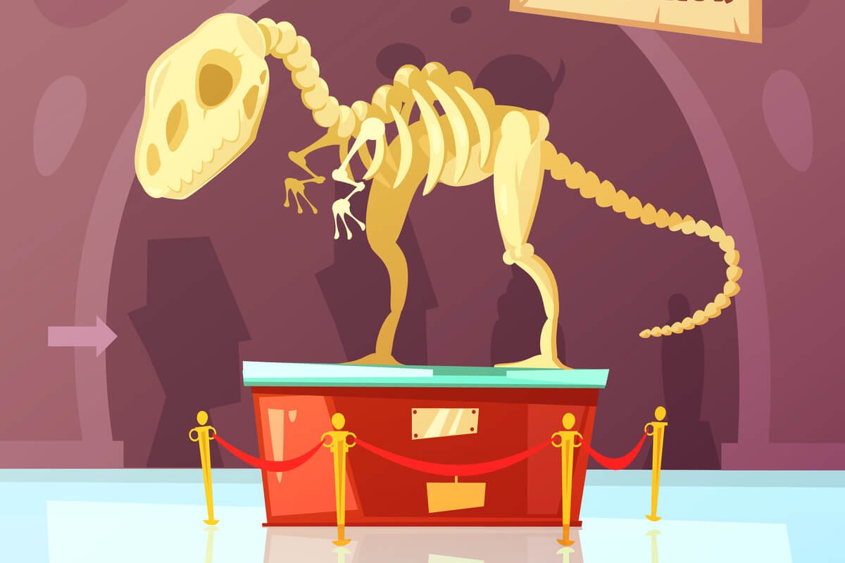 Illustrasjon av et dinosaurskjellet på en forhøyning på et museum som illustrasjon for vinterferieaktiviteter på Naturhistorisk museum