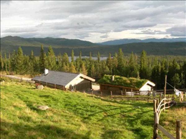 Seter med tradisjonsmat og gårdsdyr