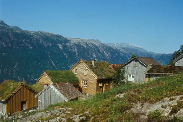 Eldre bygninger i forskjellige størrelser og til forskjellig formål bygget tett sammen i fjellet på Litunet museumsgård