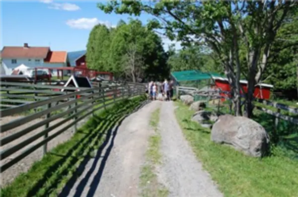  Familiepark på Ringsaker