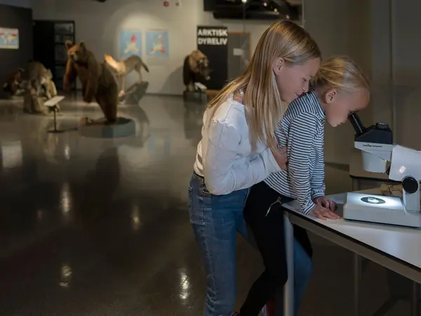 Dyr og natur i fokus på Rana museum