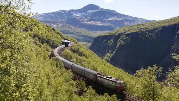 Tog på Ofotbanen - Arctic Train høyt i en frodig fjellside med dalen nedenfor og et høyt fjell i bakgrunnen
