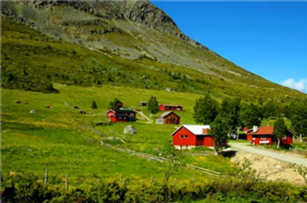  Seter med dyr og produksjonav gårdsprodukter