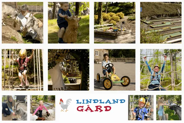 Tolv forskjellige bilder av barn med forskjellige aktiviteter på Lindland Gård - familiepark satt sammen til ett bilde