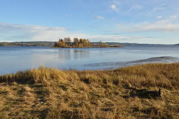 Stor elv med gressmark i forkant og øy i bakkant av bildet fra våtmark Nordre Øyeren
