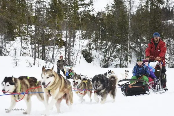 Kategoribilde for vinteraktiviteter, hundesledespann i full fart over snøen med slede med to barn på og en voksen kjører bak