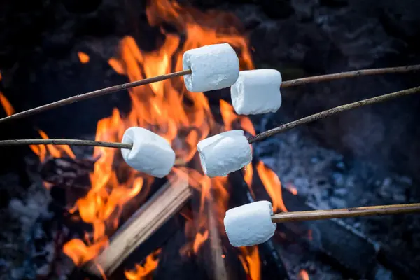 Bål med fem pinner med marshmallows over flammene som illustrasjonsbilde for beskrivelsen av magisk vinterferie på Norsk Folkemuseum