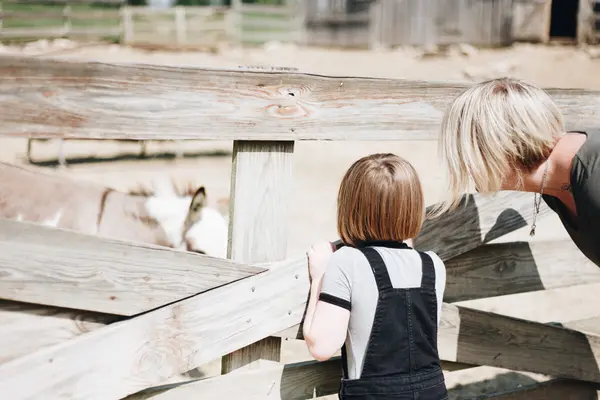 Barn og voksen ser på hester gjennom et tregjerde på en gård, som illustrasjonsbilde for beskrivelsen av åpen gård på Brekke Gård i Skien