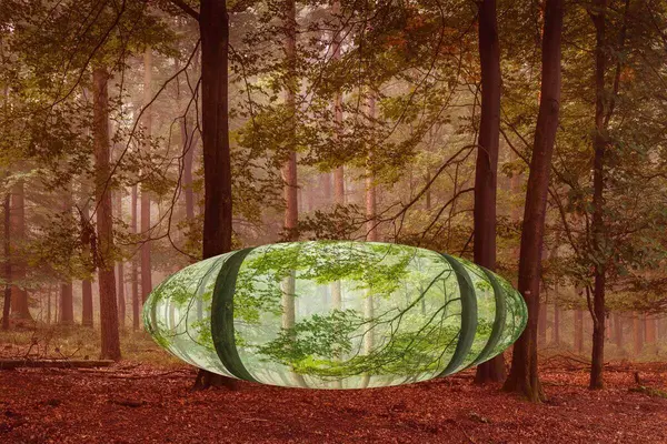 Et fantasibilde med en gjennomsiktig installasjon plassert i en skog, som illustrasjonsbilde for beskrivelsen av kunstcampen Høst med kunstpilotene i Nygårdsparken