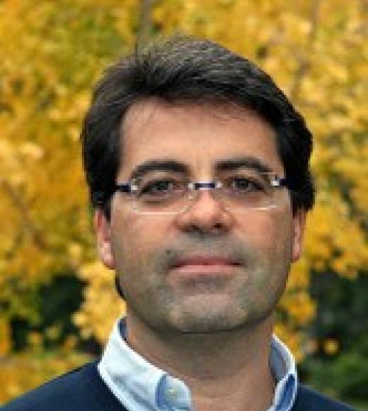 [team] image of team member (for an amusement park)