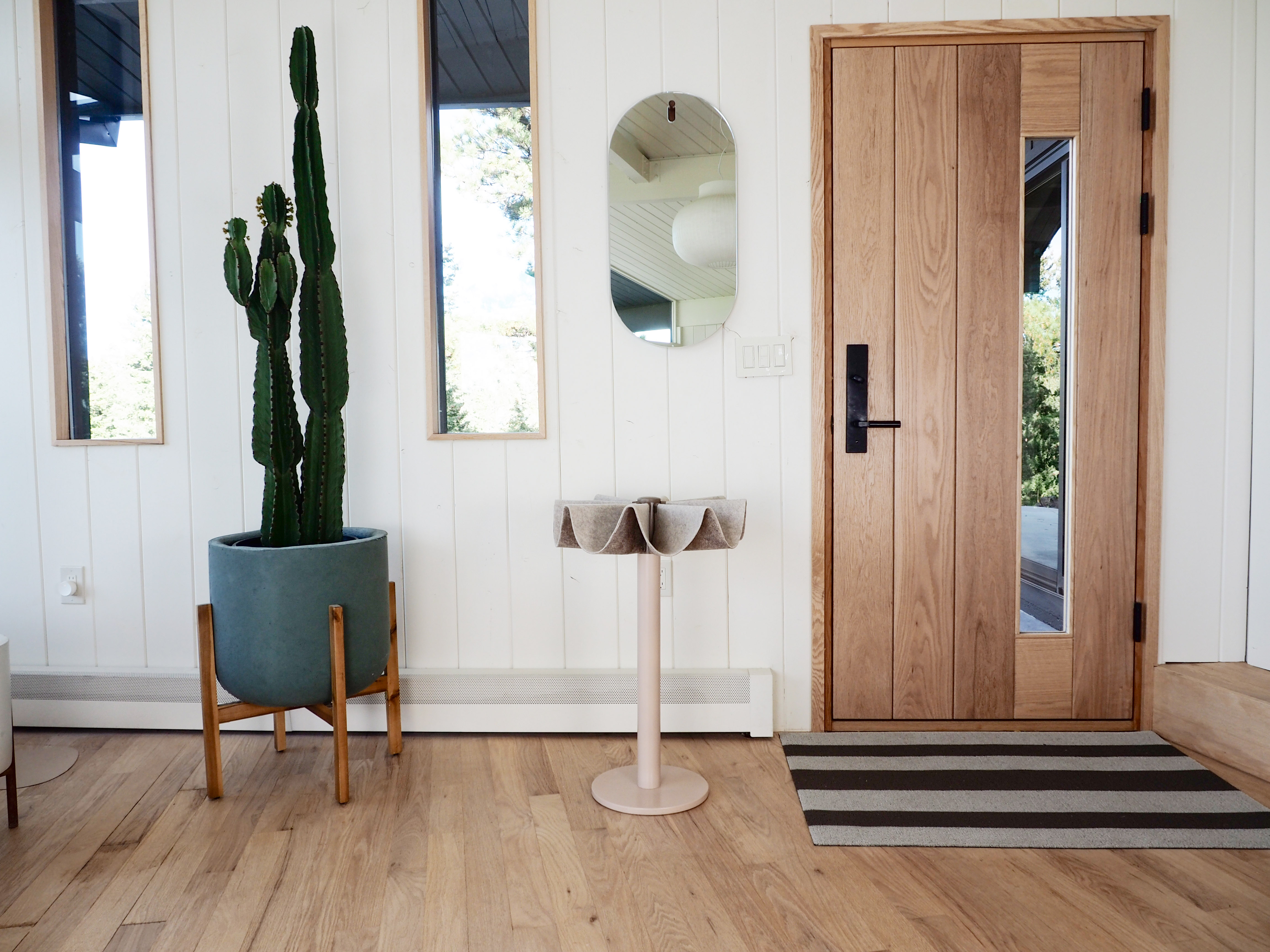 entry way with catchall and plant on the floor