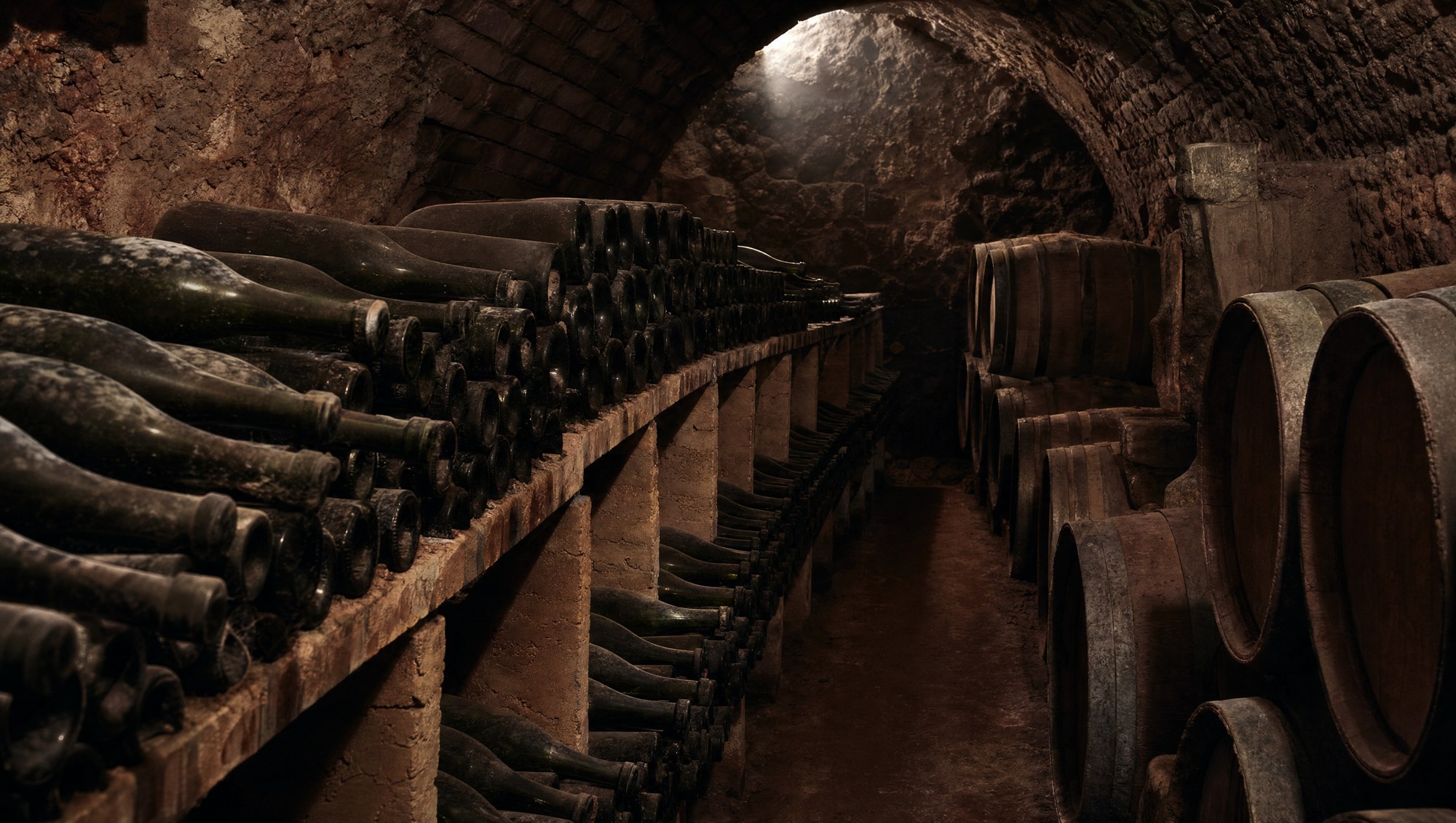 Cave de vieillissement du vin et du cava à Almendralejo