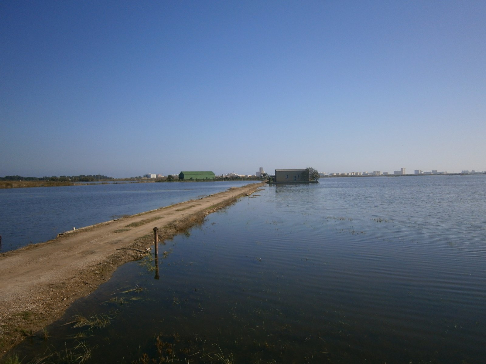Rizière de l'Albufera vue depuis El Palmar, photographie réelle du lieu