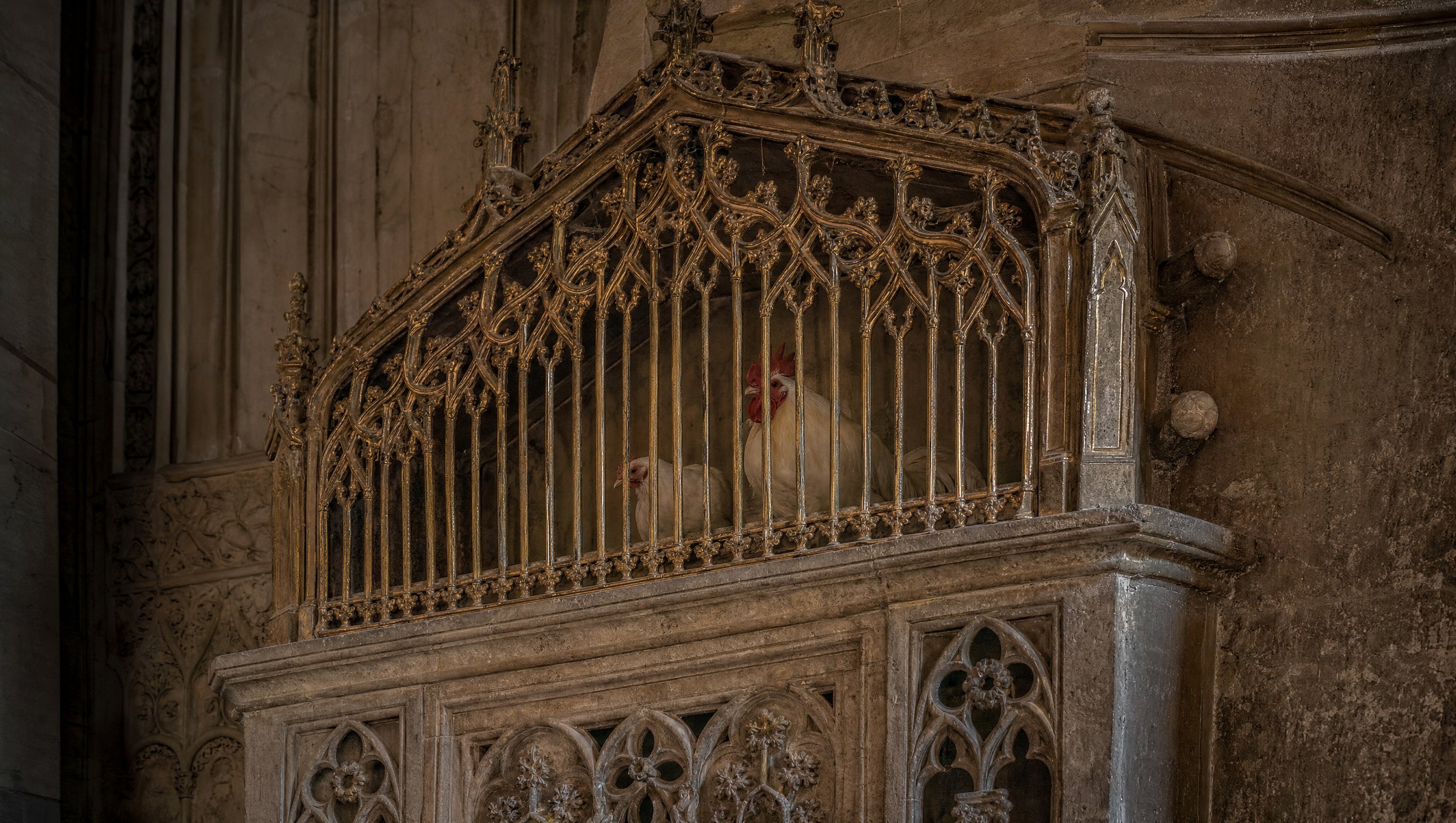 Poulailler gothique doré avec un coq et une poule blancs dans la cathédrale de Santo Domingo de la Calzada
