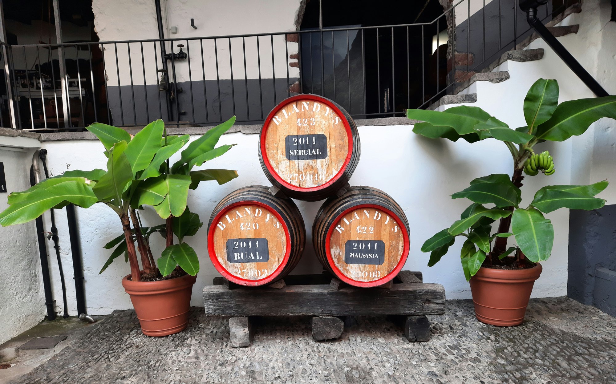 Adegas de São Francisco (Blandy's Wine Lodge), ancien couvent São Francisco, Funchal, Madère, Portugal