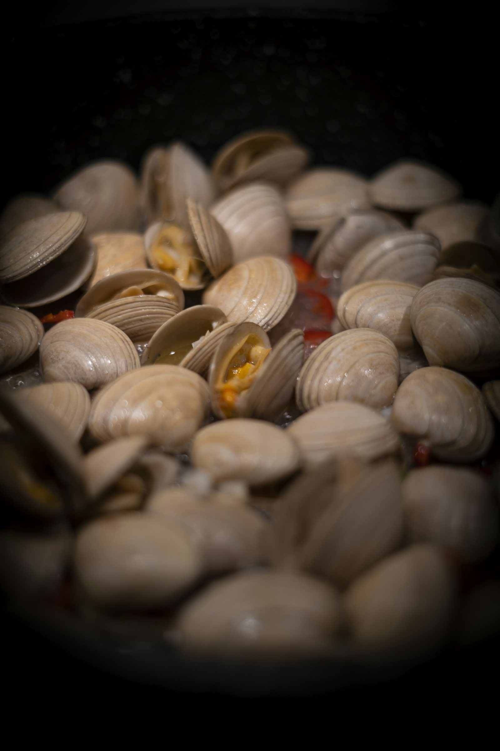 Conquilhas fraîches ouvertes à la poêle, coquillages de la Ria Formosa entrant dans le xarém, plat traditionnel de Faro, Algarve, Portugal
