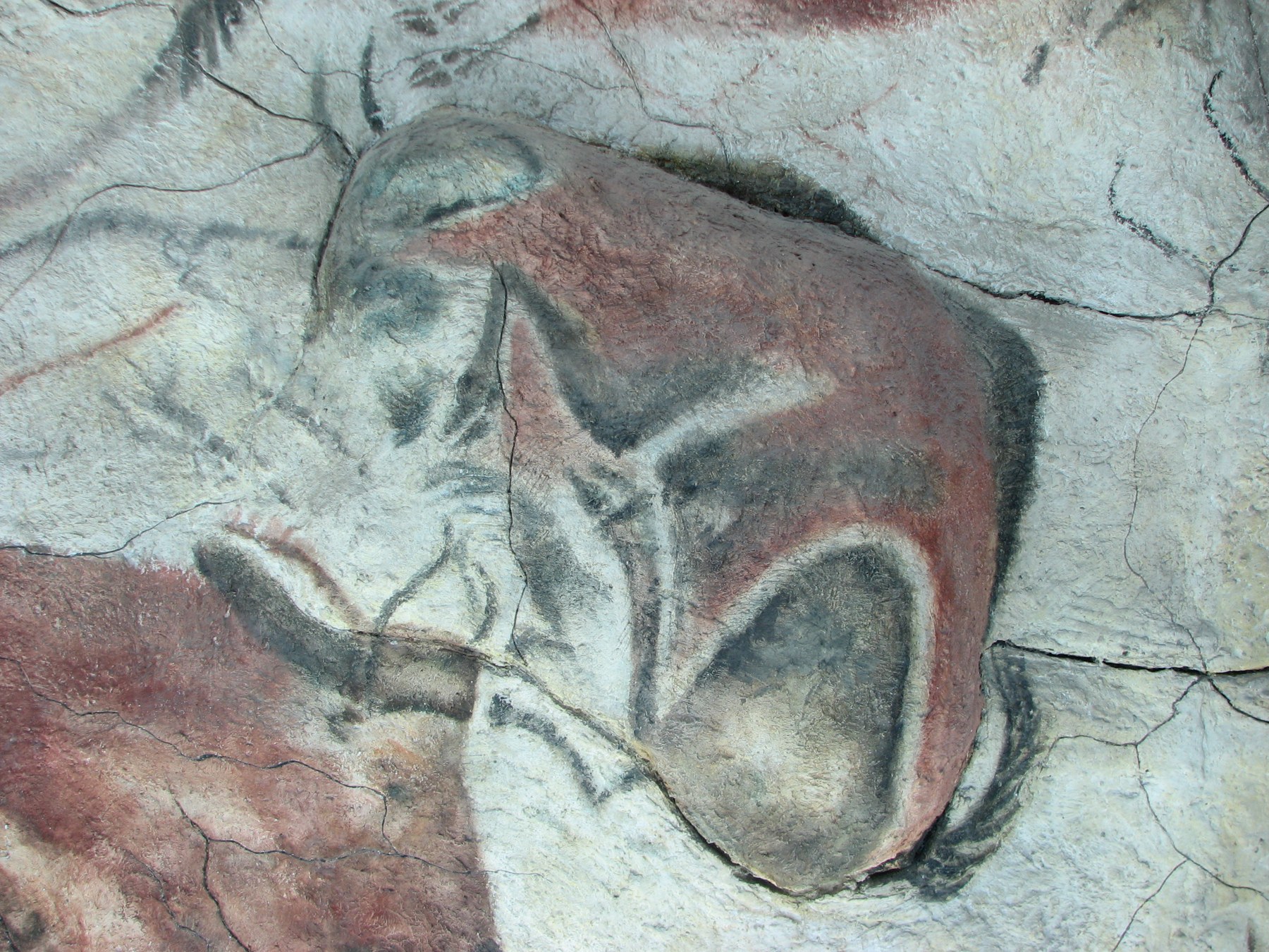 Plafond des polychromes de la grotte d'Altamira, grands bisons peints en ocre rouge et noir, Cantabrie, Espagne (Museo de Altamira)