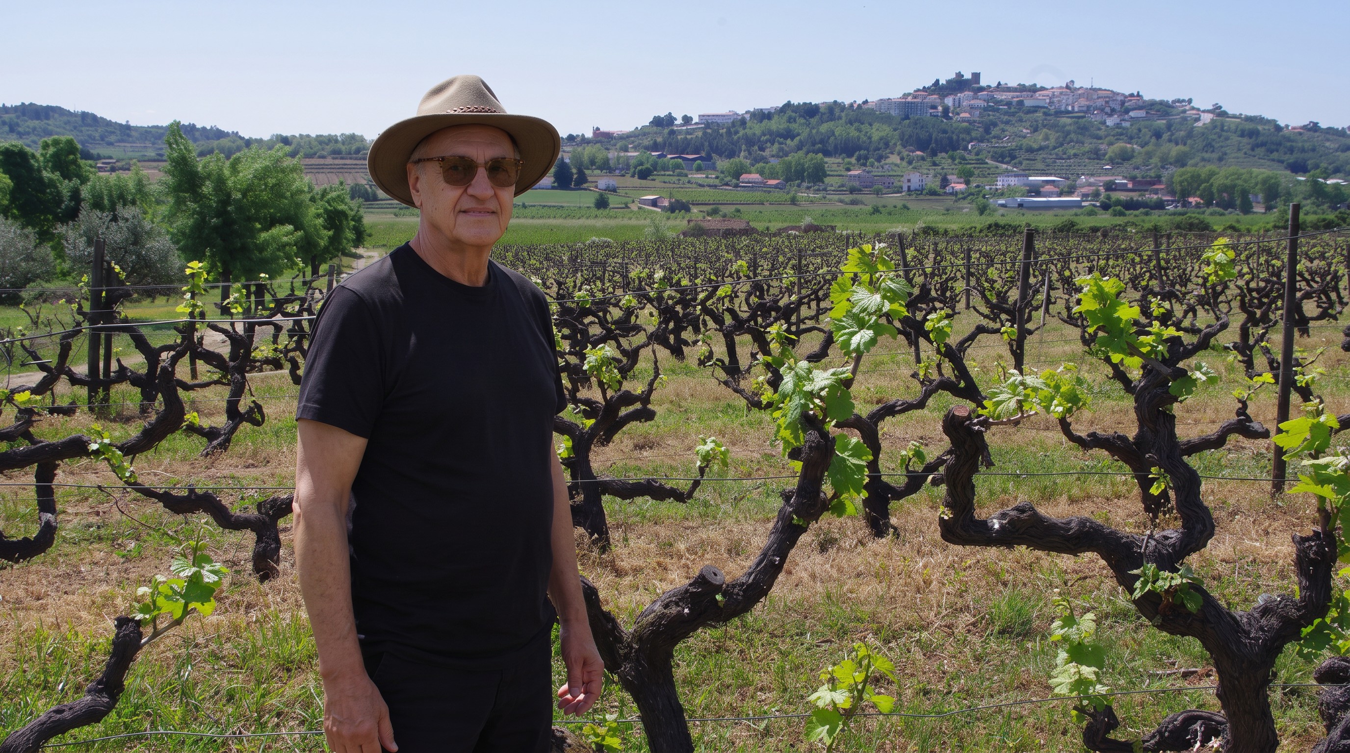 Le vin du Dão que Viseu fait encore mûrir entre granit et pins