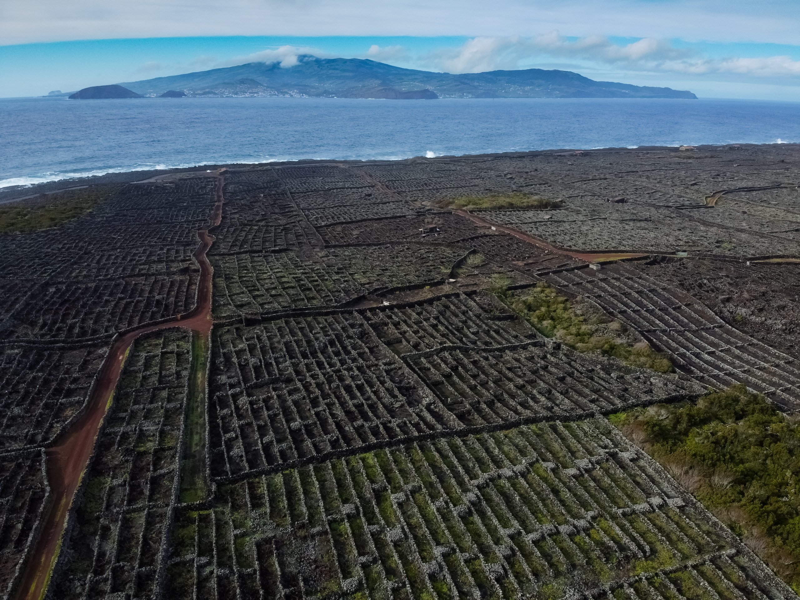 Paysage viticole de l'île de Pico, currais en pierre de lave basaltique noire alignés le long de la côte, Açores, Portugal, site classé au patrimoine mondial de l'UNESCO