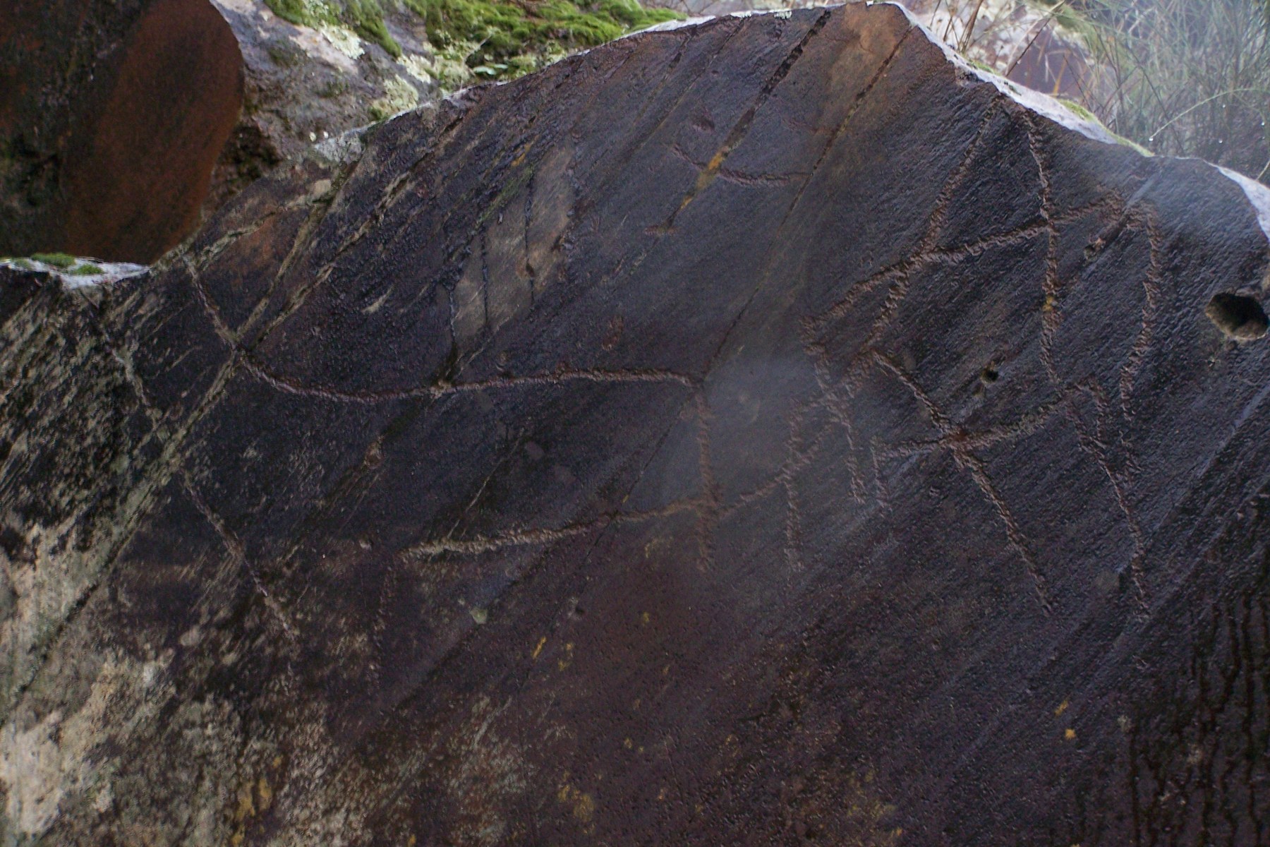 Vallée du Côa (Vale do Côa), gravures rupestres paléolithiques sur schiste, Parc archéologique de Foz Côa, Portugal