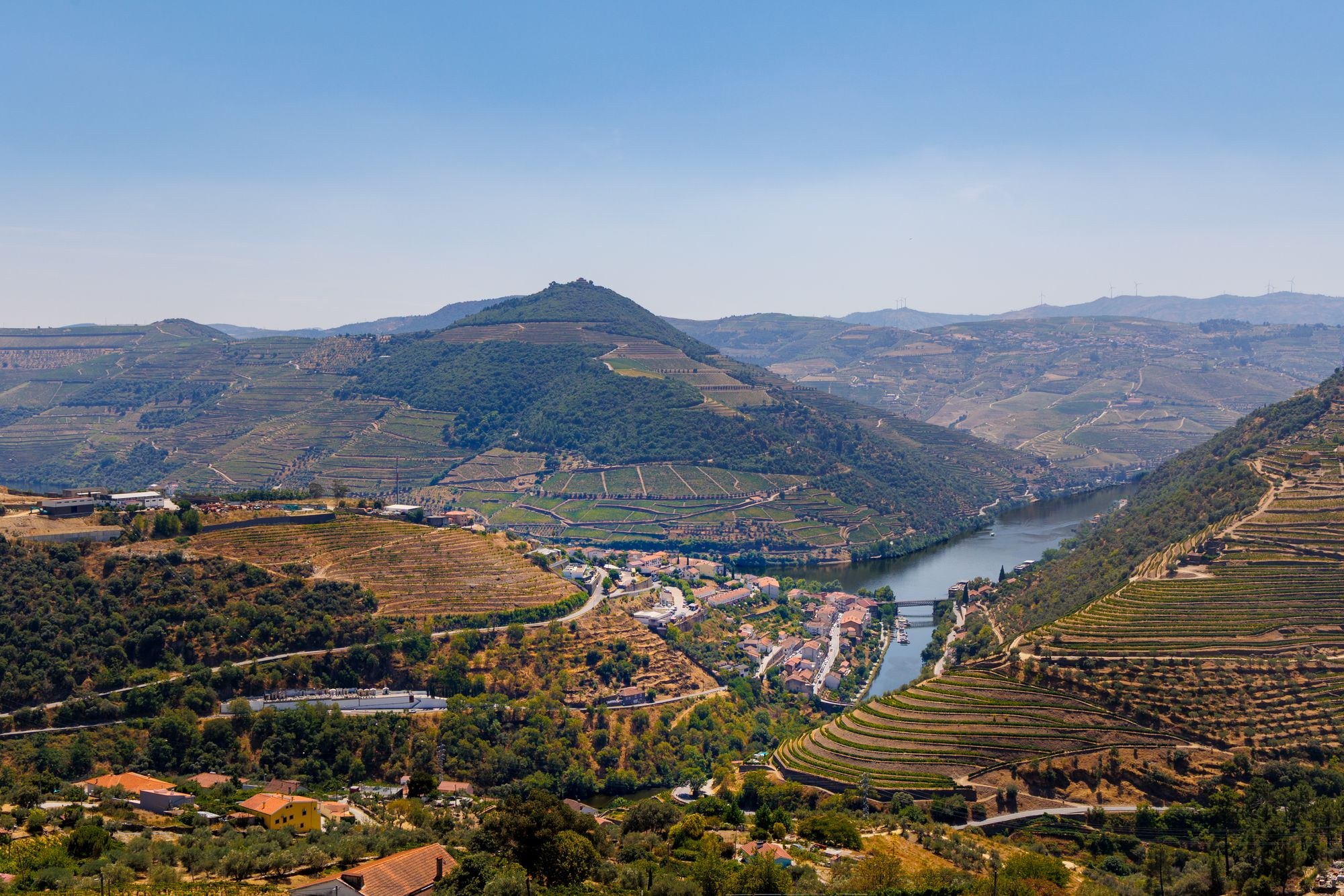 Peso da Régua et les terrasses viticoles du Haut-Douro (Alto Douro Vinhateiro), coteaux de vigne en escalier au-dessus du fleuve Douro, Portugal