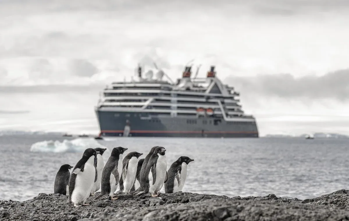 Seabourn Venture / Pursuit with penguins in the foreground