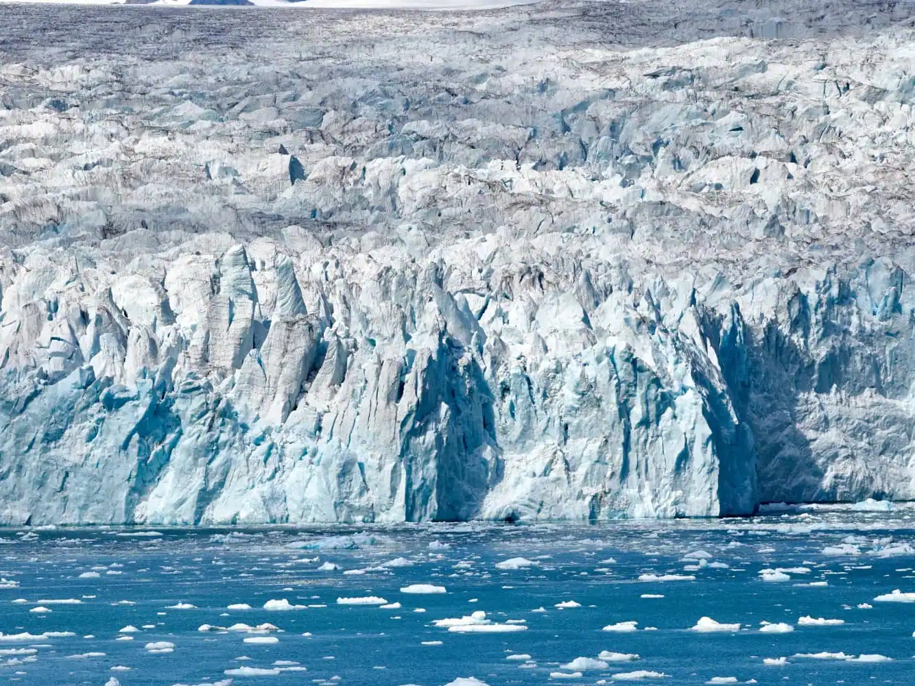 Iceburgs in Port Umivik Bay