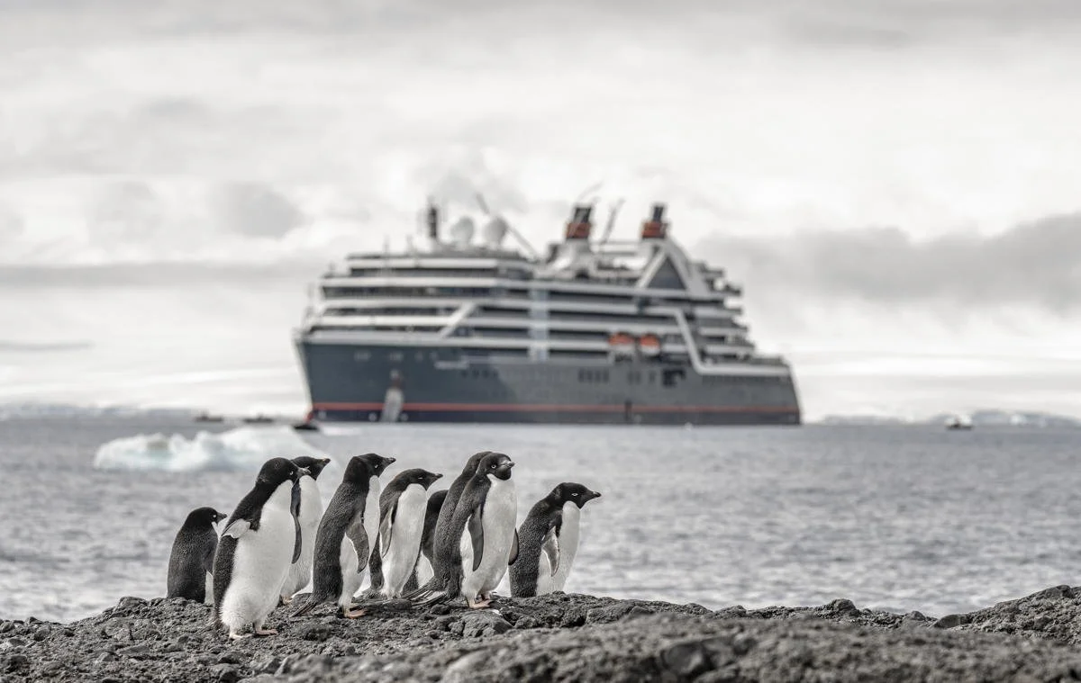 The Seabourn Venture cruise ship with Antarctic penguins in the foreground