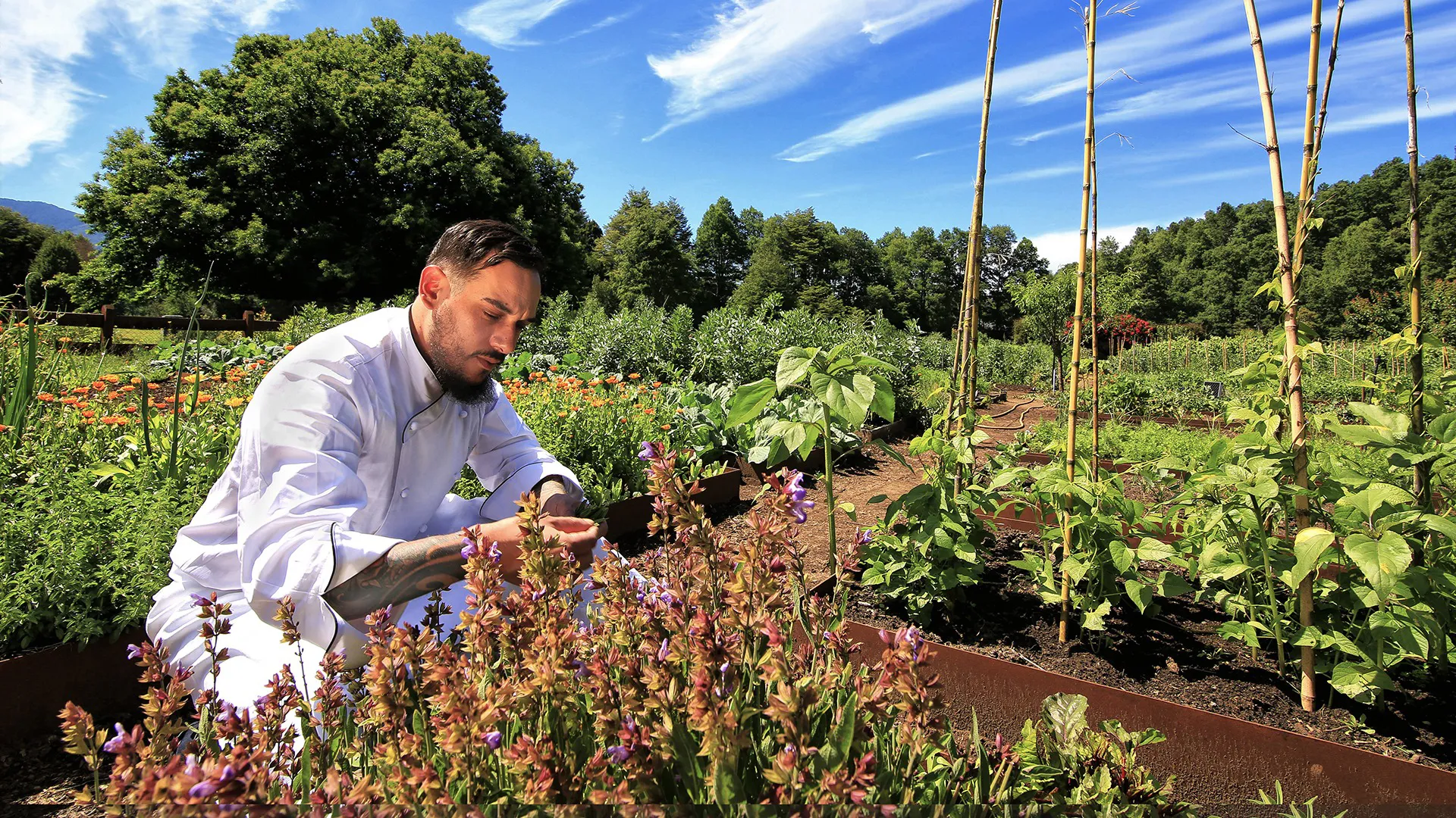 &Beyond Vira Vira garden and chef