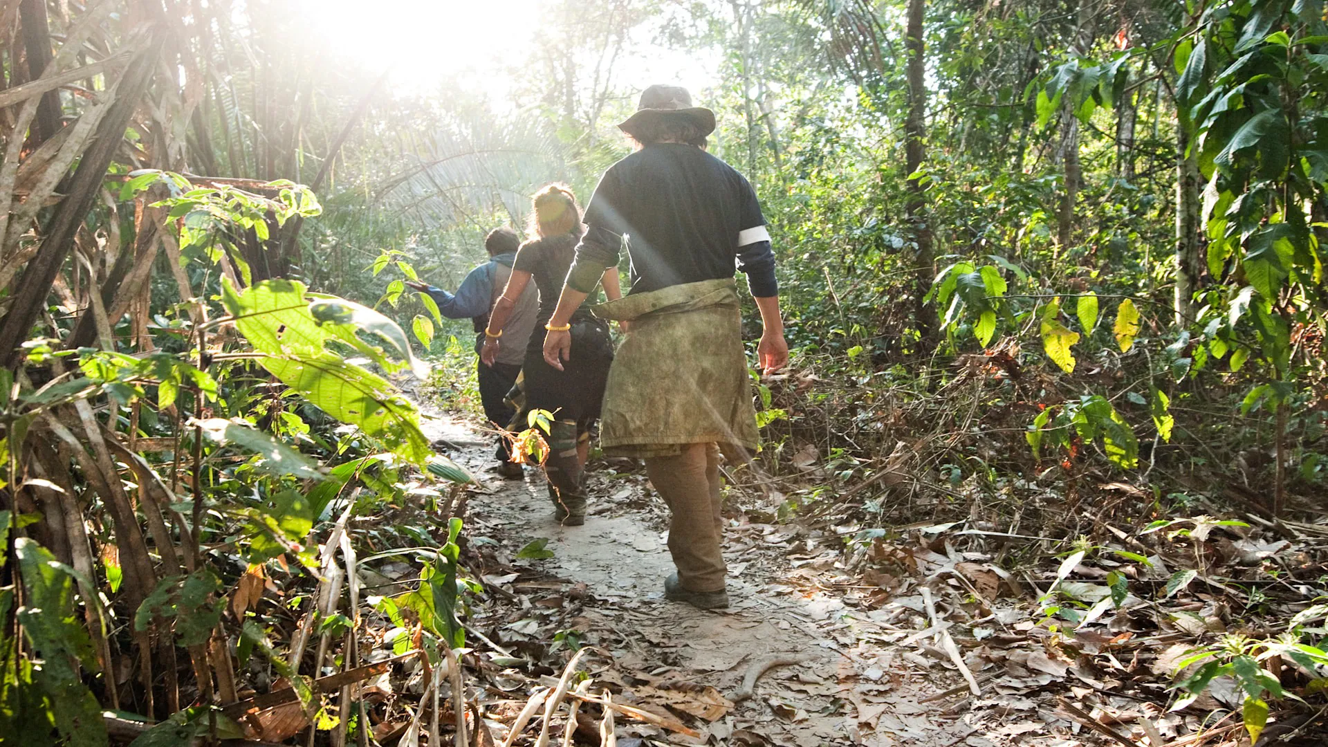 People hike through a Peruvian rainforest
