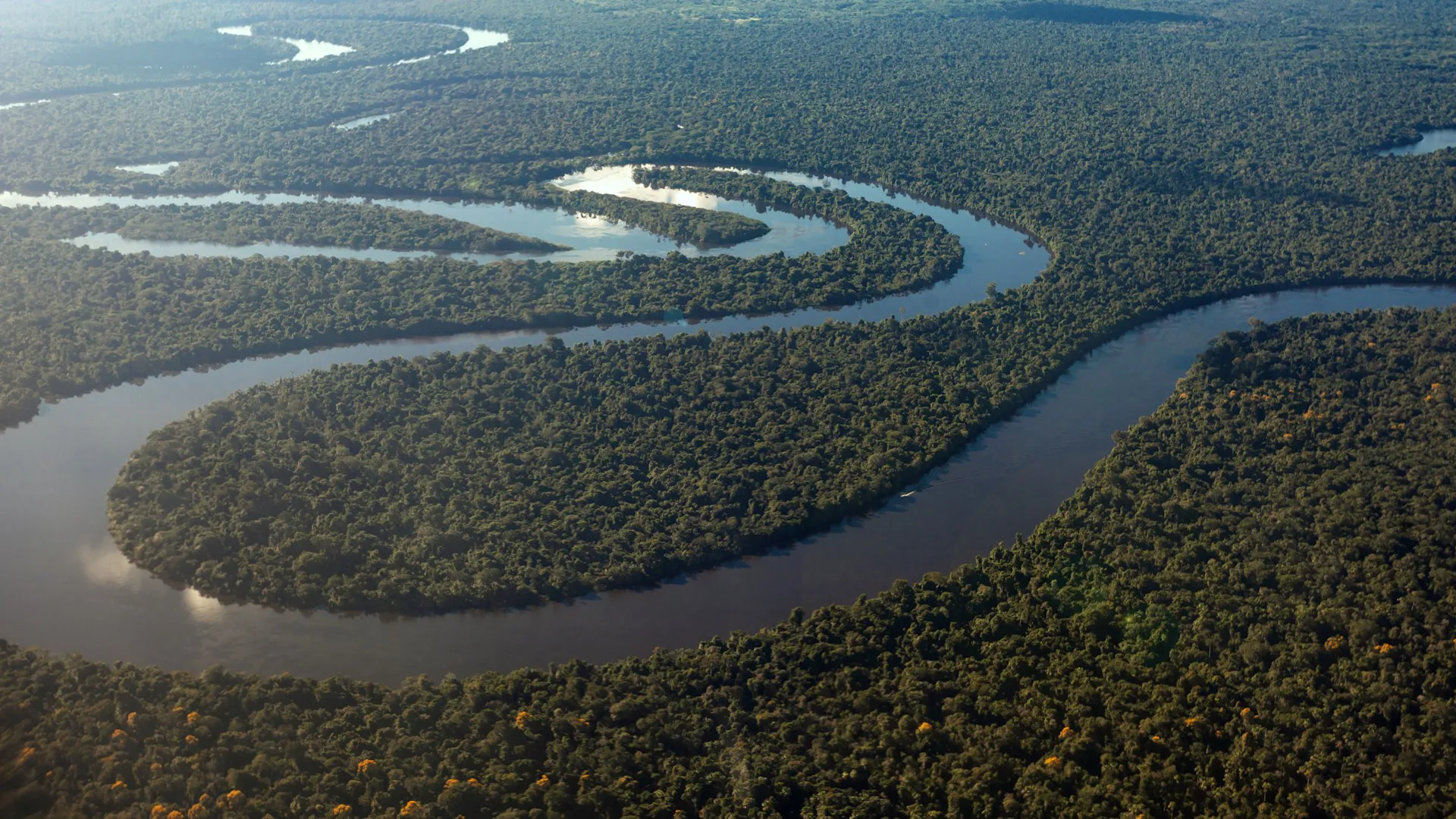Aerial view of a winding Amazon river